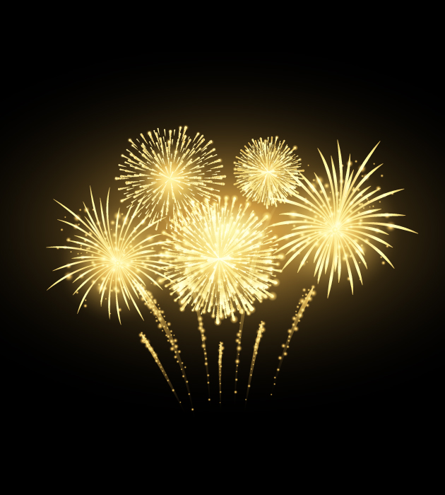 Sky Shot Fireworks Sivakasi